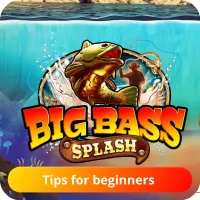 Big Bass Splash tips